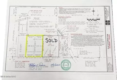 12 Acres Man Moulds Rd, Lucedale, MS 39452 photo 10