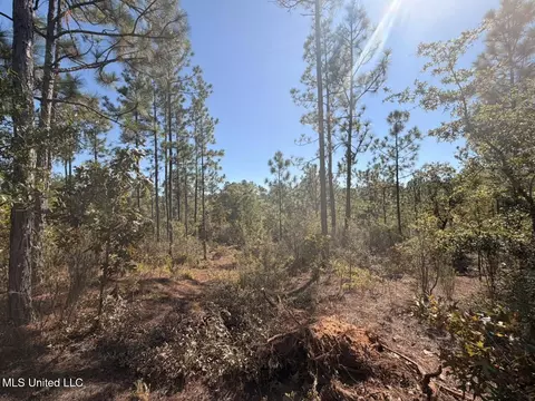 12 Acres Man Moulds Rd, Lucedale, MS 39452 photo 2