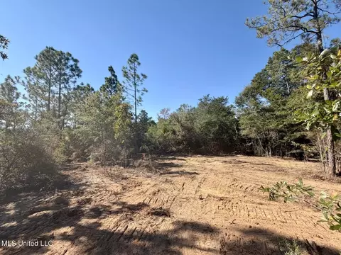 12 Acres Man Moulds Rd, Lucedale, MS 39452