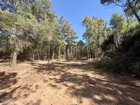 12 Acres Man Moulds Rd, Lucedale, MS 39452 photo 7