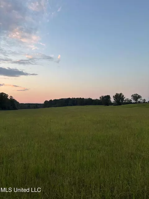 Hwy 43, Carthage, MS 39051