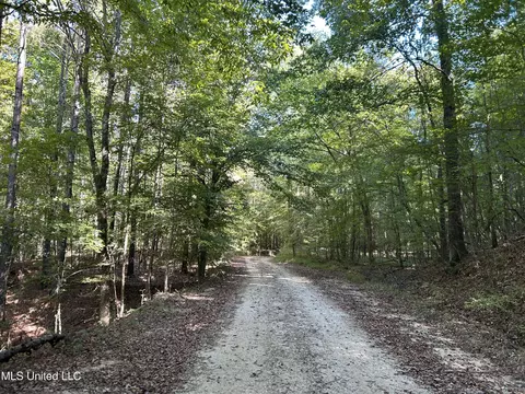 Perry Creek Road, Yazoo City, MS 39194