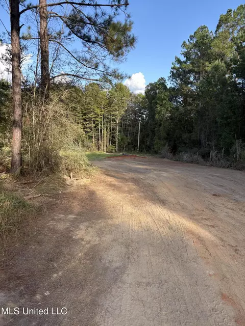0- Rayford Shumock Rd, Moss Point, MS 39562 photo 7