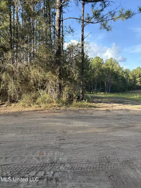 0- Rayford Shumock Rd, Moss Point, MS 39562 photo 9