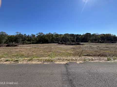 Country Lane, Philadelphia, MS 39350
