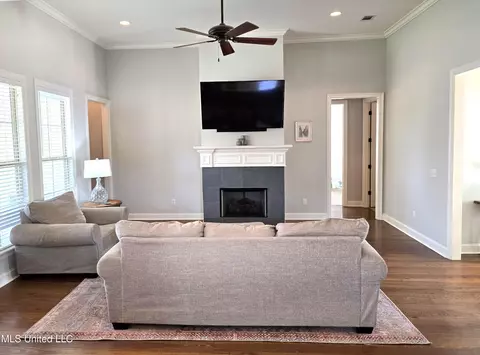 Living - 106 Trailbridge Way, Canton, MS 39046 photo 4 of 4