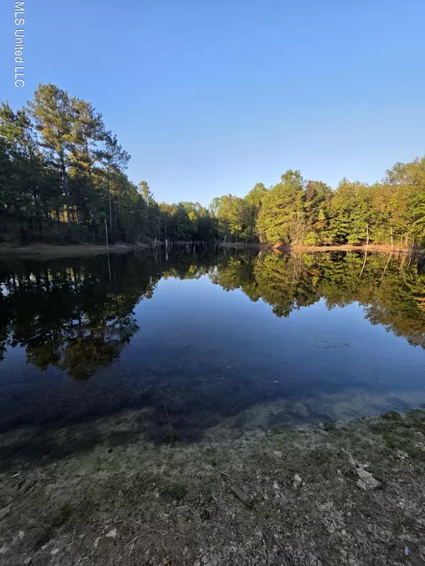 1067 Williams Rd, Wesson, MS 39191