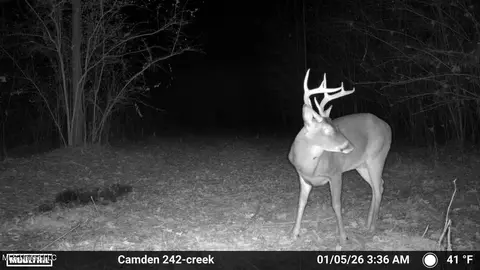 00 Simpson Rd, Pickens, MS 39146 photo 3