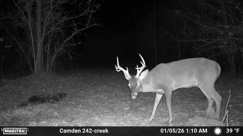 00 Simpson Rd, Pickens, MS 39146 photo 7
