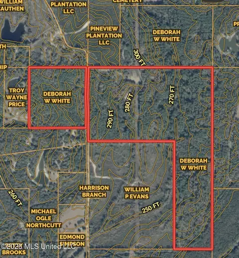 00 Simpson Rd, Pickens, MS 39146 photo 24