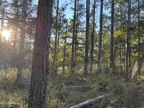 00 Simpson Rd, Pickens, MS 39146 photo 2