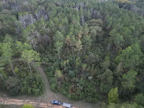 00 Simpson Rd, Pickens, MS 39146 photo 16