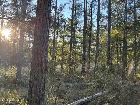 00 Simpson Rd, Pickens, MS 39146