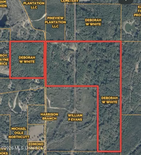 00 Simpson Rd, Pickens, MS 39146 photo 22