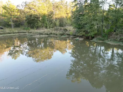 00 Simpson Rd, Pickens, MS 39146 photo 5