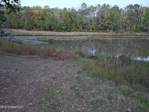 00 Simpson Rd, Pickens, MS 39146 photo 19