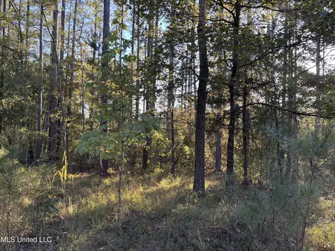 00 Simpson Rd, Pickens, MS 39146 photo 10