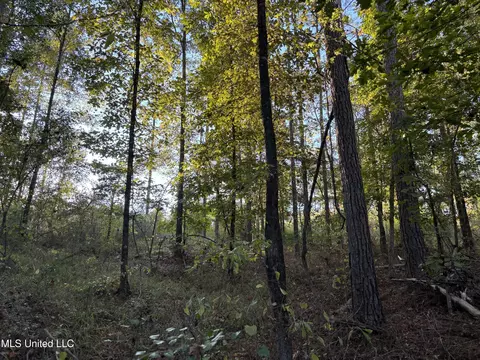 00 Simpson Rd, Pickens, MS 39146 photo 21