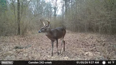 00 Simpson Rd, Pickens, MS 39146 photo 13
