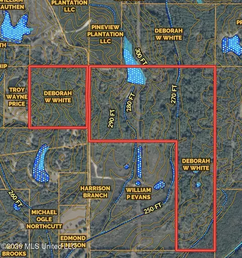 00 Simpson Rd, Pickens, MS 39146 photo 25
