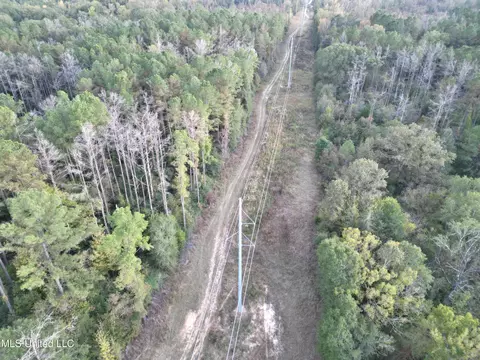 00 Simpson Rd, Pickens, MS 39146 photo 17