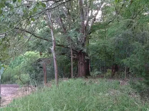 St Augustine Drive, Madison, MS 39110 photo 15