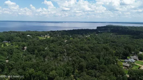 St Augustine Drive, Madison, MS 39110 photo 19