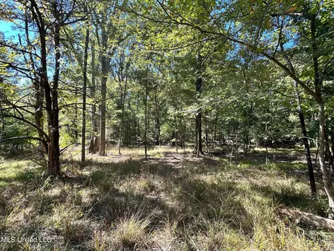 St Augustine Drive, Madison, MS 39110 photo 4