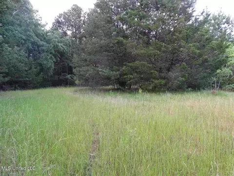 St Augustine Drive, Madison, MS 39110 photo 13