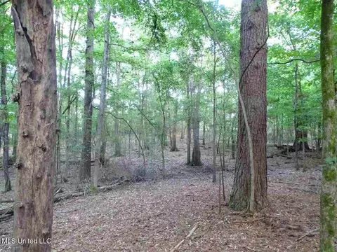St Augustine Drive, Madison, MS 39110 photo 10