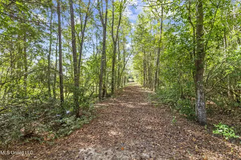 Hillsboro Road, Vancleave, MS 39565