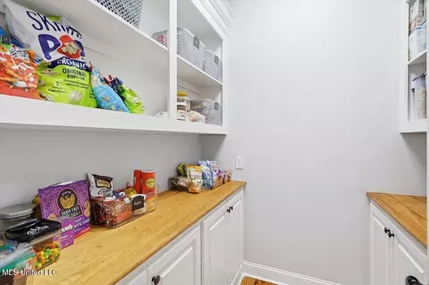 Other - 342 Royal Pond Cir, Flowood, MS 39232 photo 3 of 8