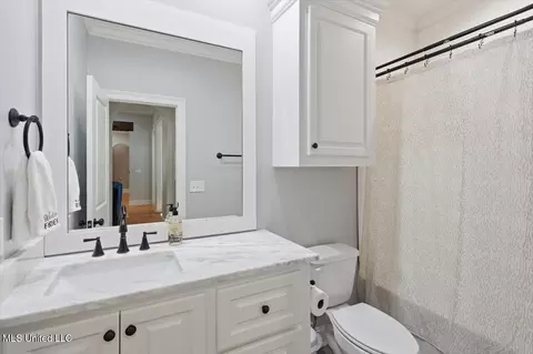 Bath - 342 Royal Pond Cir, Flowood, MS 39232 photo 3 of 4