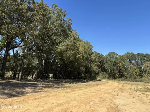 990 Black Jack Rd, Vaughan, MS 39179 photo 9