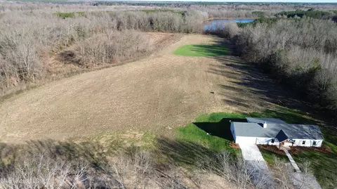 990 Black Jack Rd, Vaughan, MS 39179 photo 2