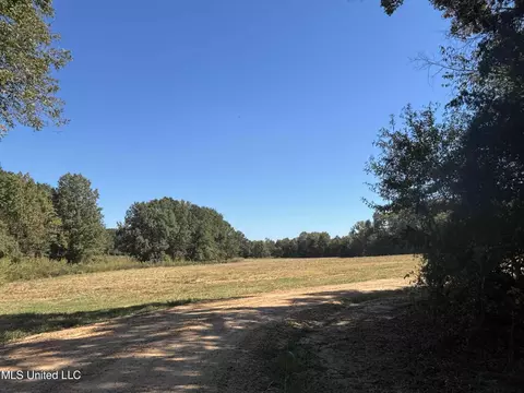 990 Black Jack Rd, Vaughan, MS 39179 photo 16