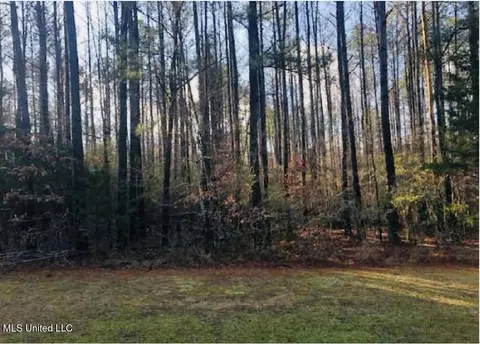153 Deerwood Xing, Canton, MS 39046