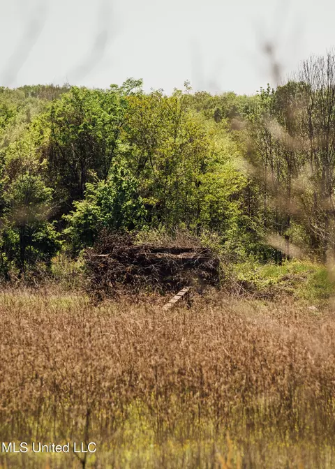 County Rd 176, Sidon, MS 38954 photo 44