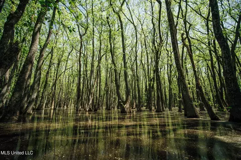 County Rd 176, Sidon, MS 38954 photo 21