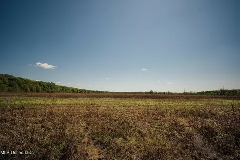 County Rd 176, Sidon, MS 38954 photo 29