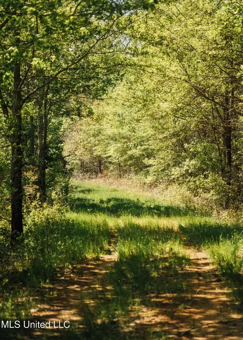 County Rd 176, Sidon, MS 38954 photo 38