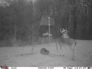 County Rd 176, Sidon, MS 38954 photo 54