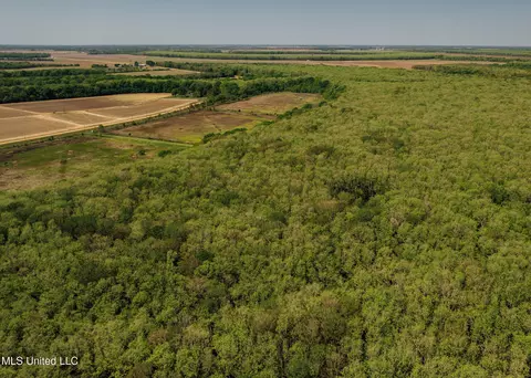 County Rd 176, Sidon, MS 38954 photo 13