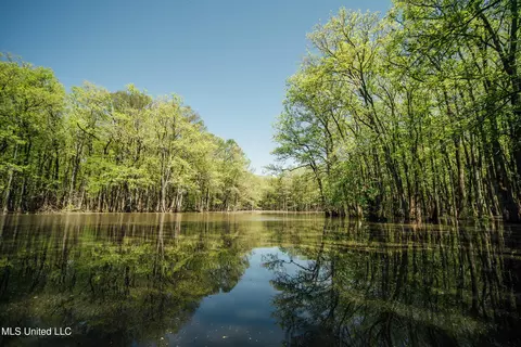 County Rd 176, Sidon, MS 38954 photo 22