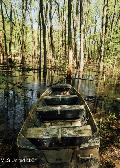 County Rd 176, Sidon, MS 38954 photo 19