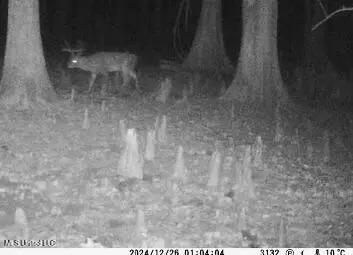County Rd 176, Sidon, MS 38954 photo 53