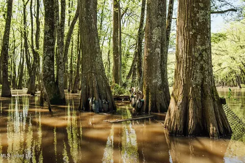 County Rd 176, Sidon, MS 38954 photo 3