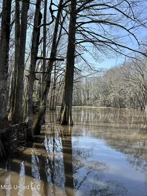 County Rd 176, Sidon, MS 38954 photo 52