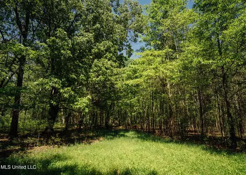 County Rd 176, Sidon, MS 38954 photo 24