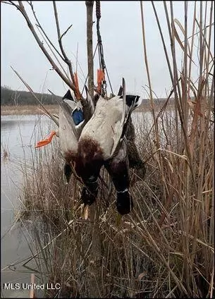 County Rd 176, Sidon, MS 38954 photo 30
